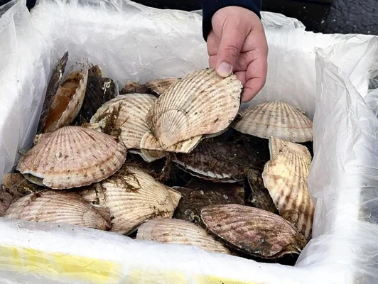 中国の“海産物禁輸”が突きつけた現実──北の海が泣く、経済報復の深い爪痕