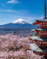 「氷上立入禁止！」民家の庭先で排泄も…富士山周辺で相次ぐ“観光公害”、行政対応に限界も