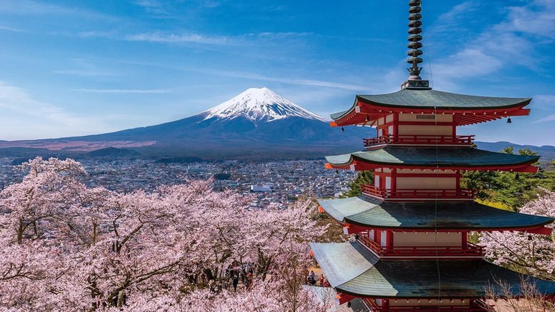 「氷上立入禁止！」民家の庭先で排泄も…富士山周辺で相次ぐ“観光公害”、行政対応に限界も