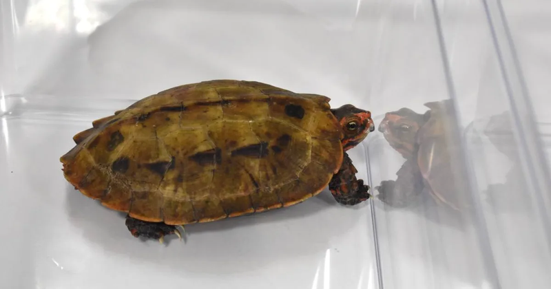 NE20251024G02329000200_00-1