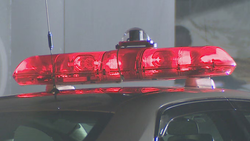 環境補助金を狙った不正の構図――制度の隙を突く中国系不正と日本社会が直面する現実